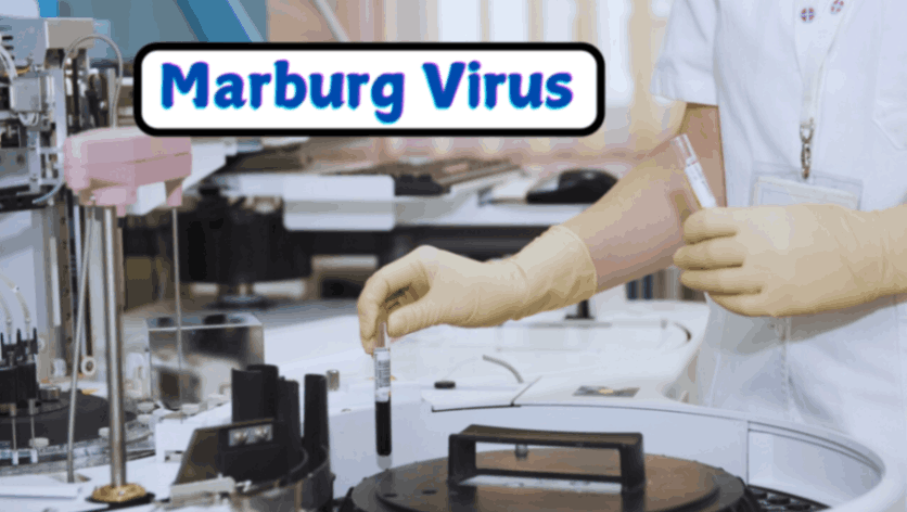 Marburg Virus