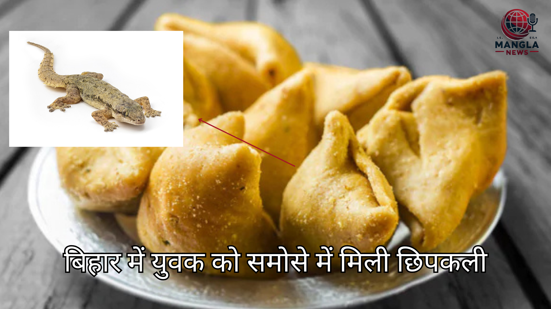 समोसे में निकली छिपकली