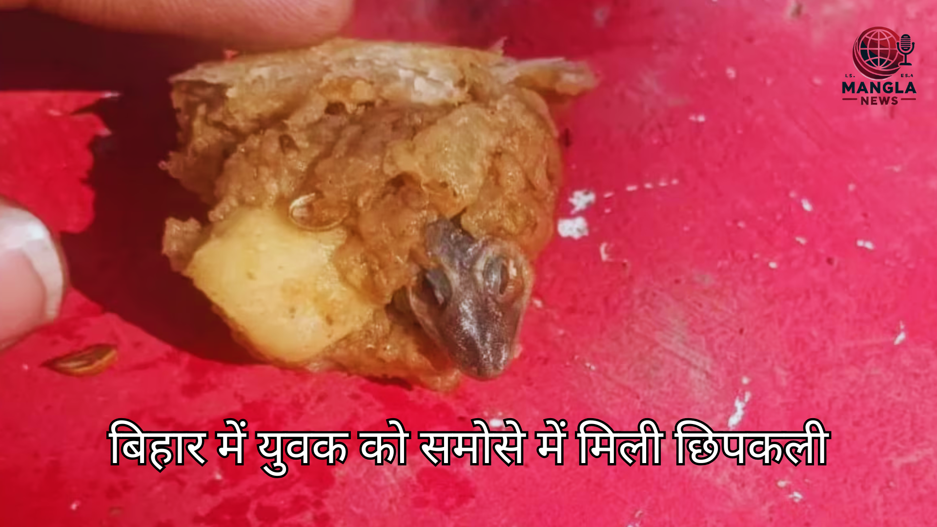 समोसे में निकली छिपकली